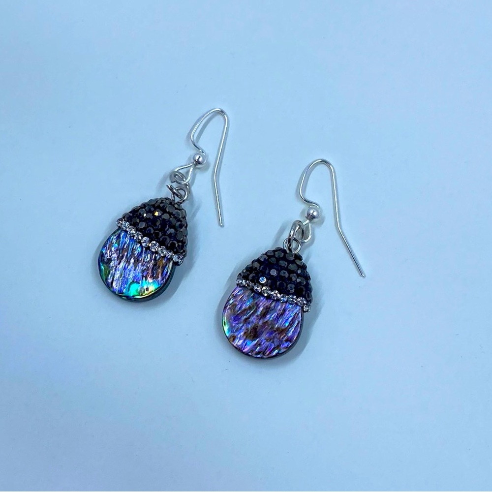 Earrings- Paua Shell - image 1